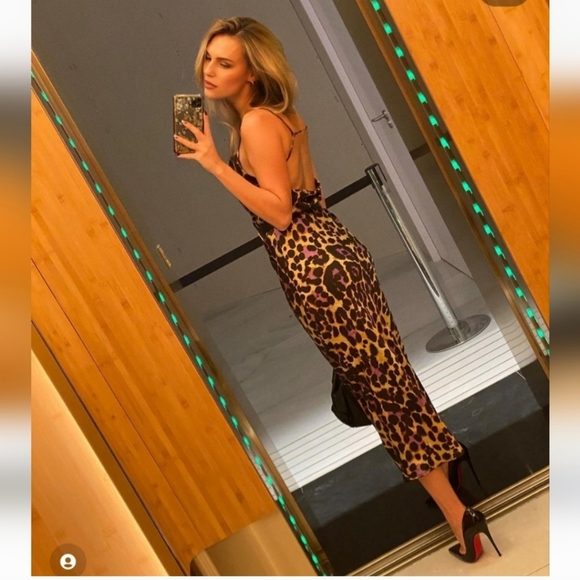 Zara Satin Effect Leopard Print Dress - Picture 3 of 15